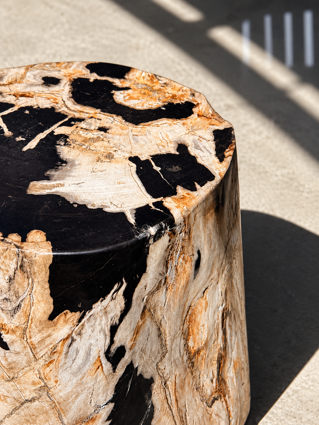 Petrified Wood Side Table, Predominantly White and Beige
