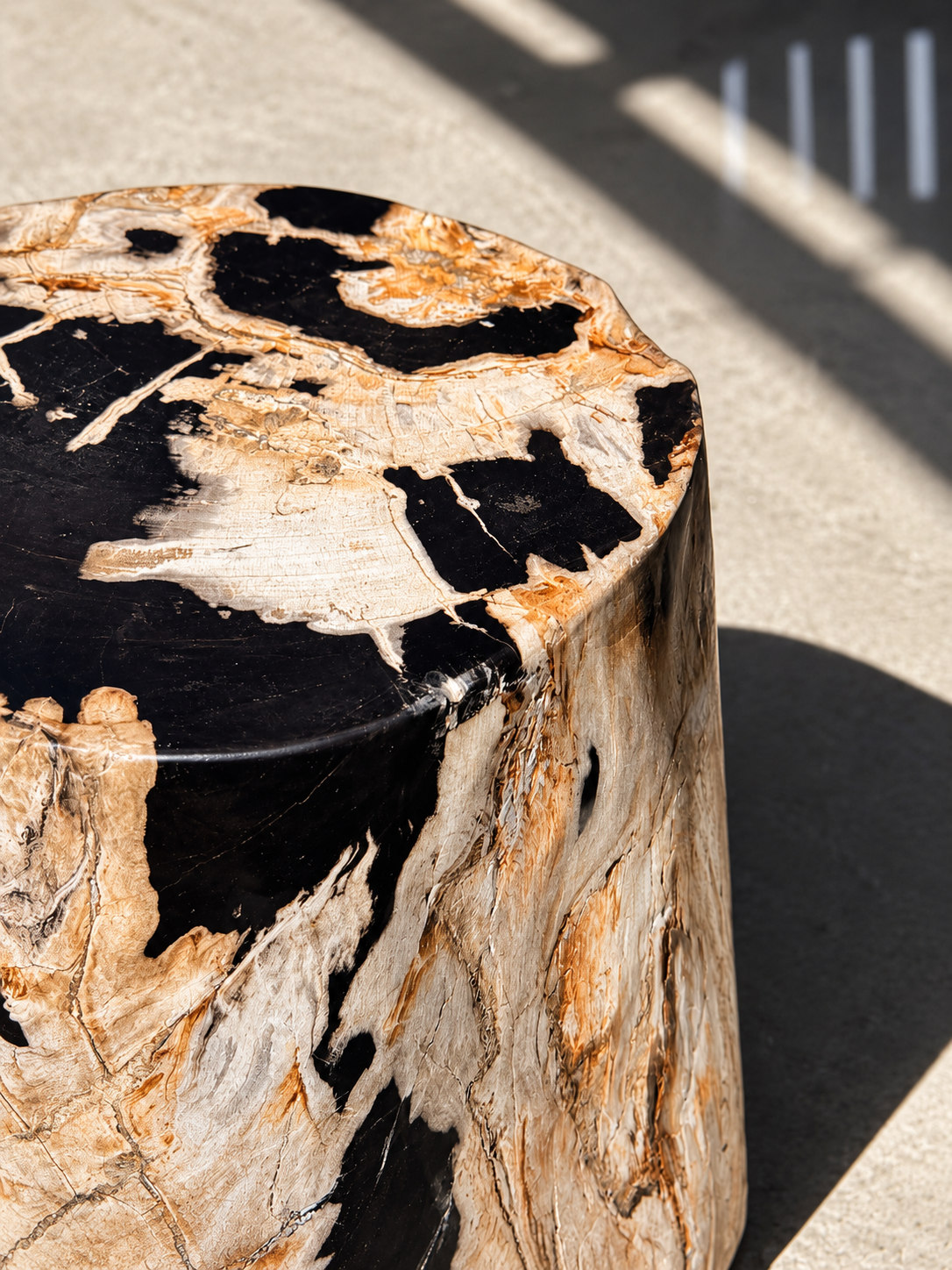 Petrified Wood Side Table, Predominantly White and Beige